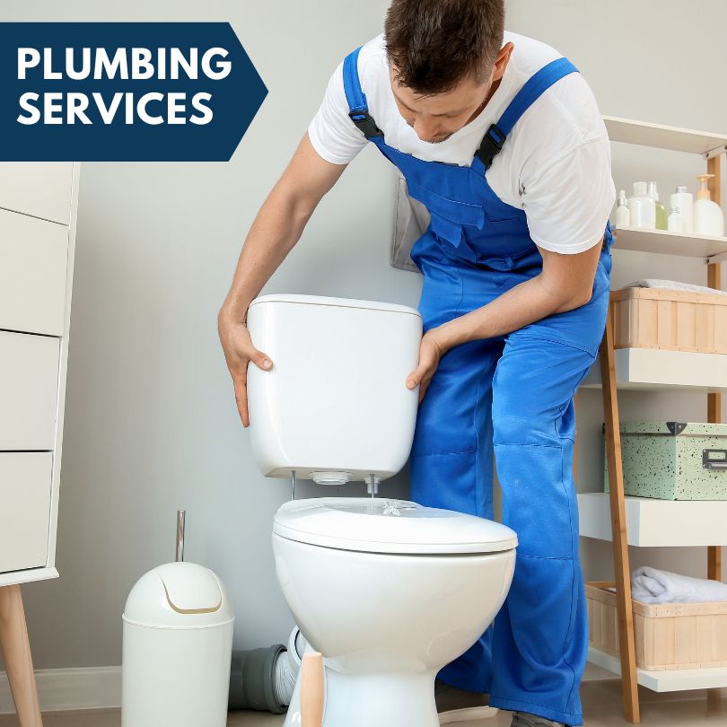 Plumbing Company in Lamont, FL